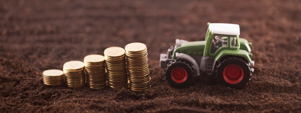 Agricultural Lending Basics