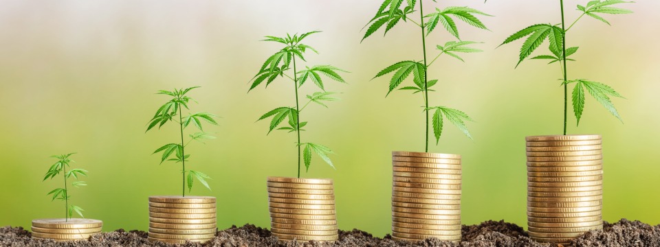 Cannabis Banking: Hemp, MRBs, & CBD Business Update
