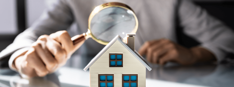 Consumer Real Estate Appraisal Reviews