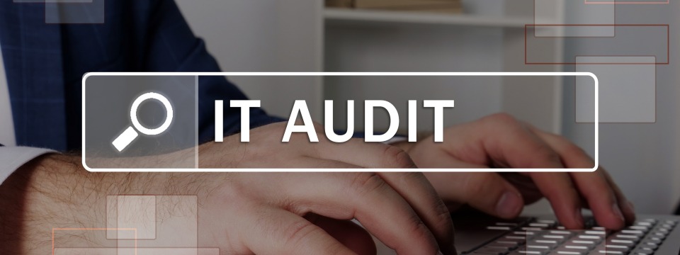 IT Audit Options: How to Choose the Right One for Your Institution