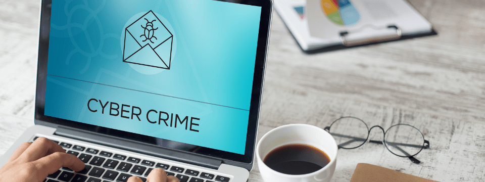 SARs & Cyber Crimes