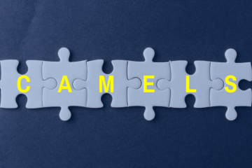 Understanding CAMELS Components & Risk