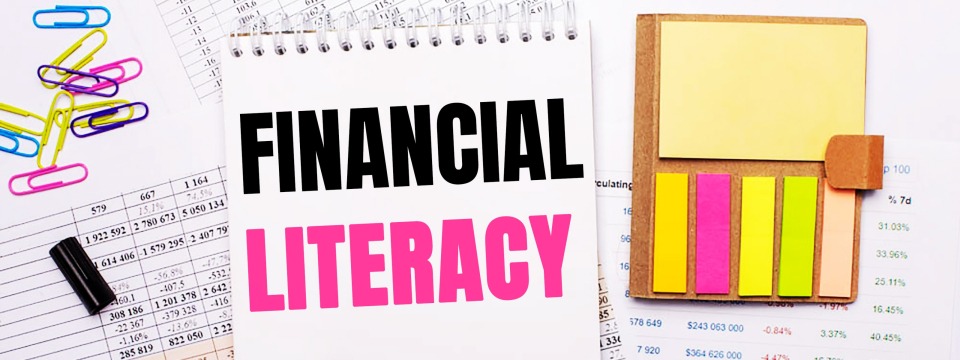 Financial Literacy Part 2: How to Interpret Key Ratios, Risks & Reporting