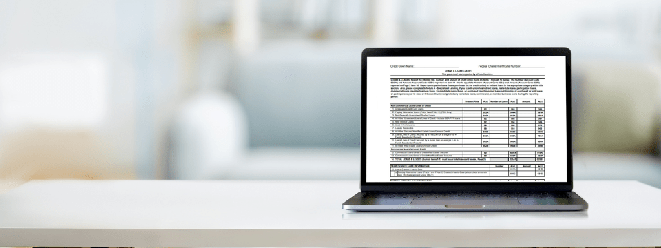 Call Report Series: Advanced Lending Schedules: Commercial Loans, Indirect Loans, CARES Act Loan Modifications & More
