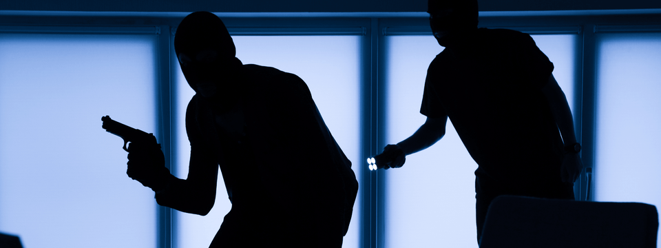 Robbery: Plan, Prevent, Prevail