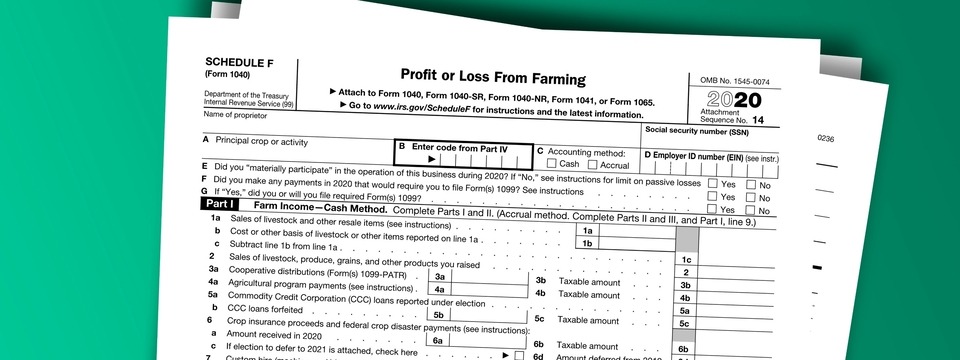 Cracking the Personal Tax Return Code Part 2: Form 1040, Schedules D, E & F