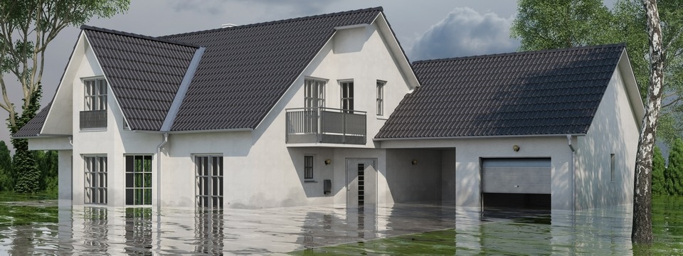 Diving Deep into Force-Placed Flood Insurance