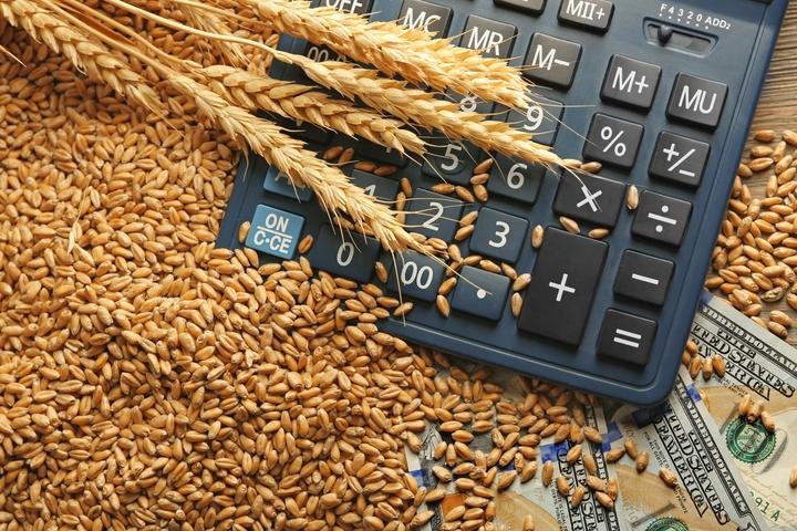 The Top 12 Credit Risks in Agricultural Lending