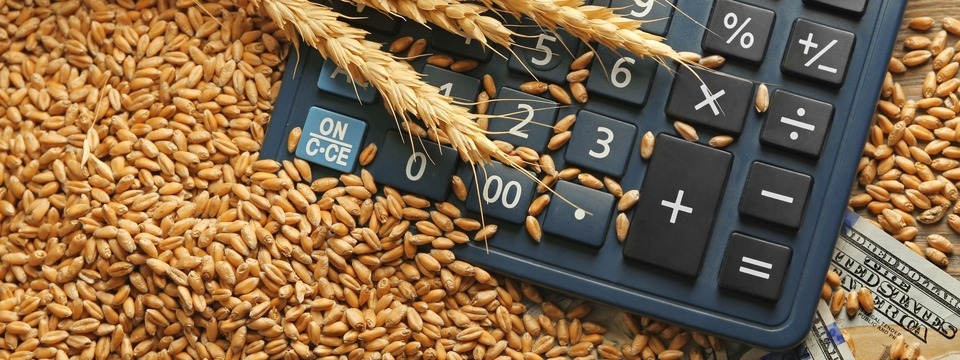 The Top 12 Credit Risks in Agricultural Lending