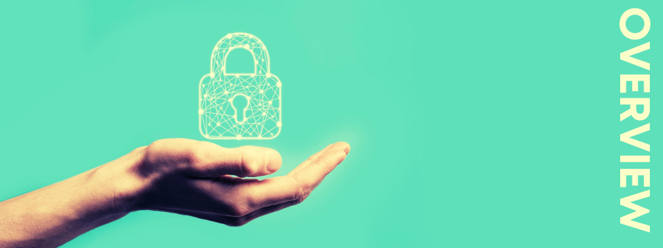 Data Privacy Webinar Overview