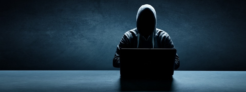 Preventing & Addressing Crime: Cyber, Human Trafficking & Disaster Relief