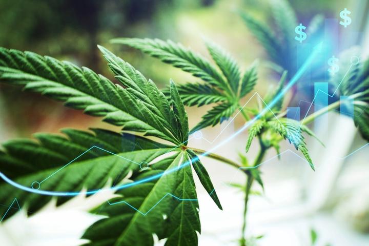 Marijuana Update: Implications of Schedule III Change, On-Boarding, Payments & Monitoring