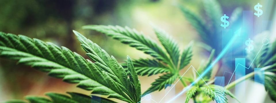 Marijuana Update: Implications of Schedule III Change, On-Boarding, Payments & Monitoring