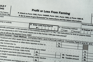 Deciphering Tax Returns Part 2: Form 1040, Schedules D, E & F