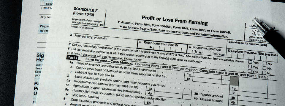 Deciphering Tax Returns Part 2: Form 1040, Schedules D, E & F