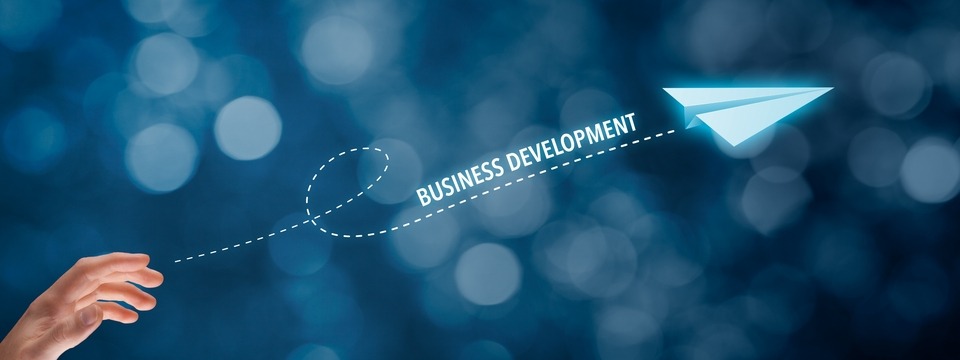 Proven Steps to Successful Business Development in Any Economic Environment