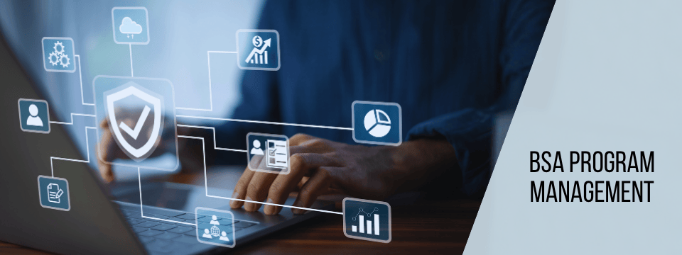  BSA Program Management