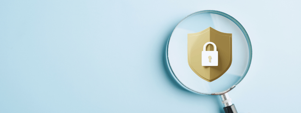 Security Assessments: A Security Program Essential