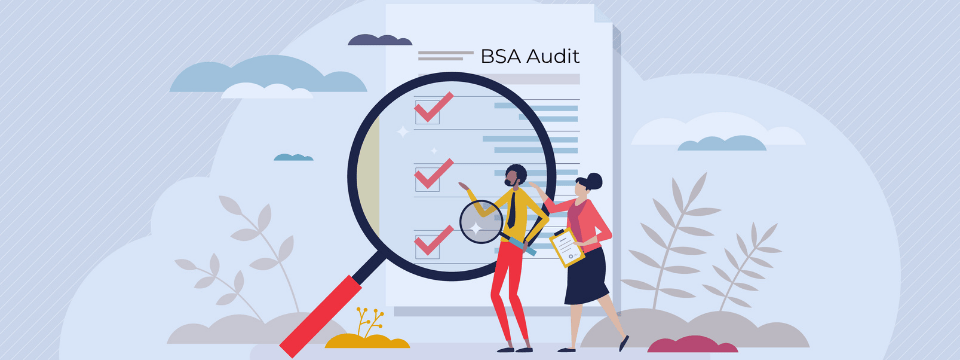 Conducting a BSA Audit
