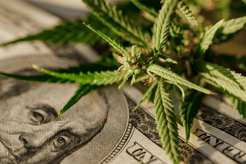 Historic Marijuana Rescheduling: What It Does & Does Not Mean for Your Financial Institution.