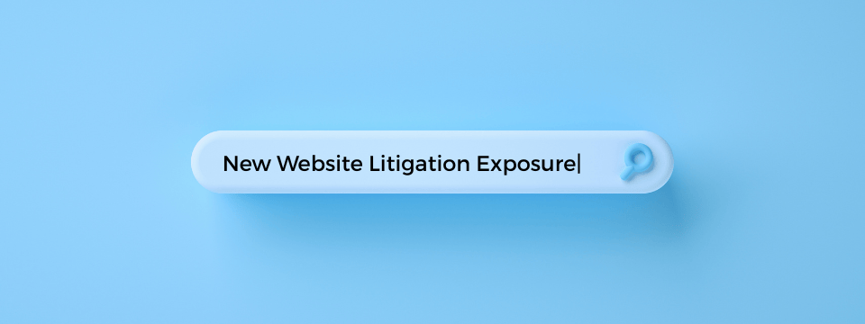 New Website Litigation Exposure: Understanding the New Wave of Lawsuits