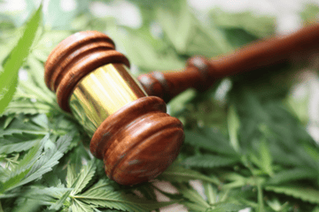 2026 Federal Hemp Ban: What It Means for Your BSA Program