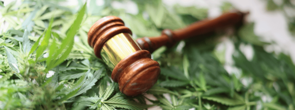 2026 Federal Hemp Ban: What It Means for Your BSA Program
